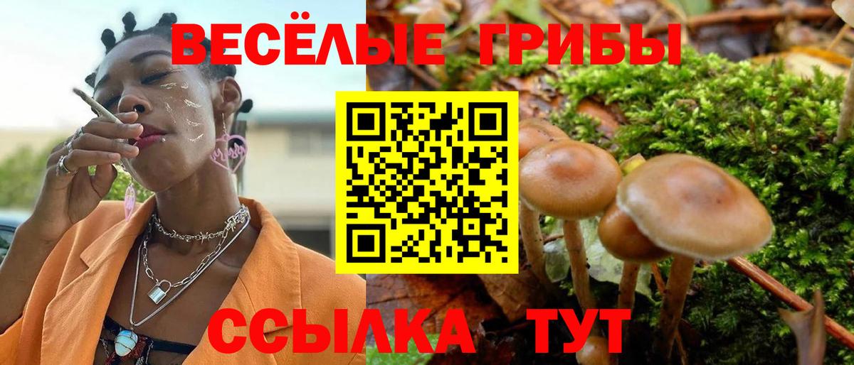 Галлюциногенные грибы мицелий Ковров